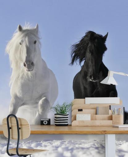 Svart og hvit hest hoppet over Snow Hill Mural