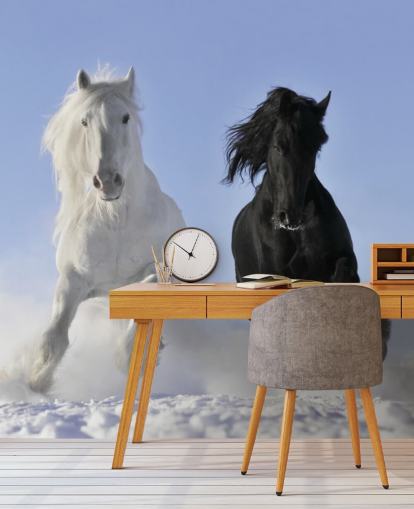 Papier Peint Fresque Cheval Noir et Blanc Sautant sur Snow Hill Papier Peint Fresque Cheval Noir et Blanc Sautant sur Snow Hill