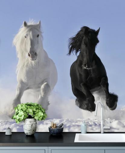 Sort og hvid hest springende over sne bakke vægmaleri Sort og hvid hest springende over sne bakke vægmaleri