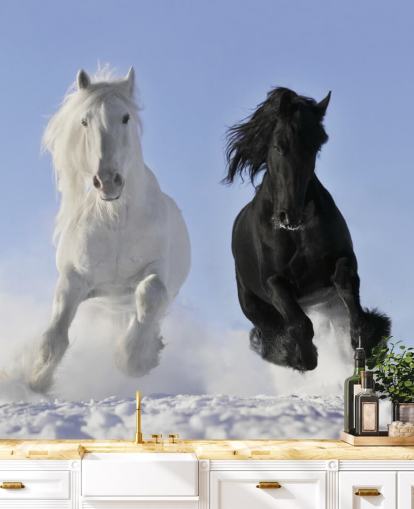 Black and White Horse Leaping over Snow Hill Mural