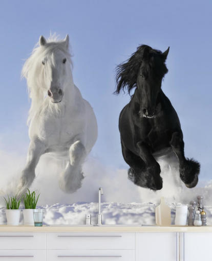 Mural Caballo blanco y negro saltando sobre una colina nevada
