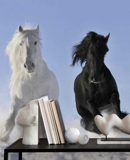 Black and White Horse Leaping over Snow Hill Mural Black and White Horse Leaping over Snow Hill Mural