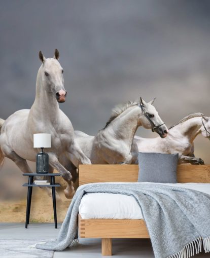 Whtie Horses Running Wallpaper Whtie Horses Running Wallpaper