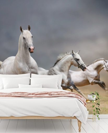 Whtie Horses Running Bakgrunn