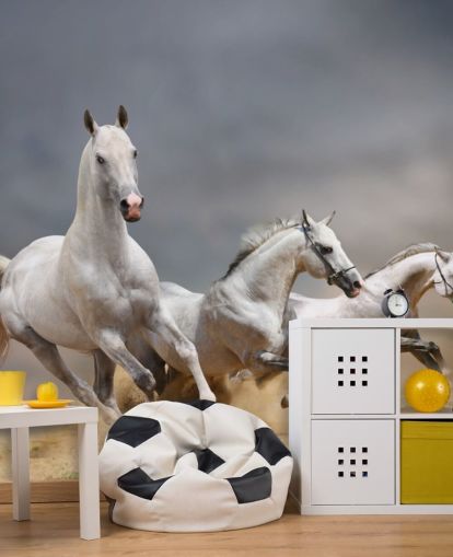 Whtie Horses Running Wallpaper