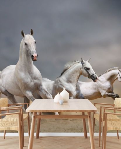Fond d'écran de course de chevaux blancs
