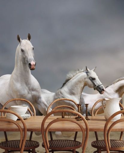 Fondo de pantalla de caballos blancos corriendo Fondo de pantalla de caballos blancos corriendo
