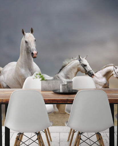 Fond d'écran de course de chevaux blancs