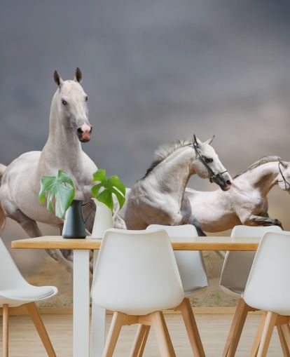 Fondo de pantalla de caballos blancos corriendo