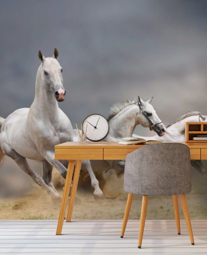 Whtie Horses Running Wallpaper Whtie Horses Running Wallpaper