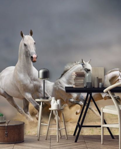Whtie Horses Running Wallpaper Whtie Horses Running Wallpaper