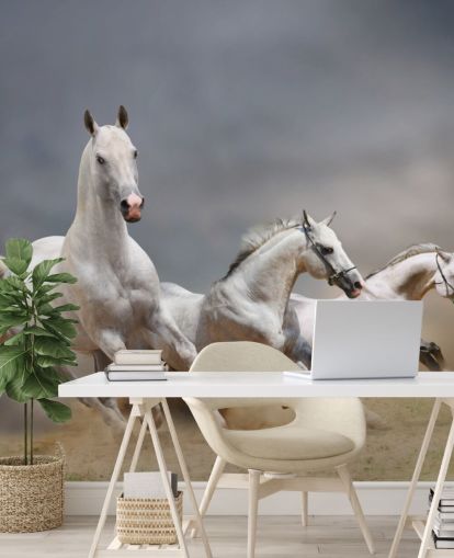 Whtie Horses Running Wallpaper Whtie Horses Running Wallpaper