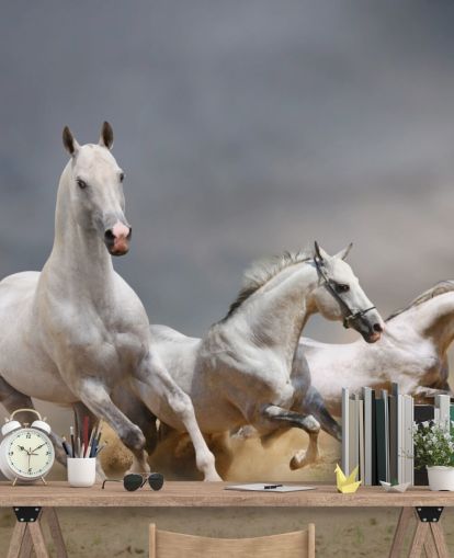 Fondo de pantalla de caballos blancos corriendo