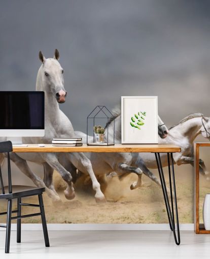 Whtie Horses Running Wallpaper