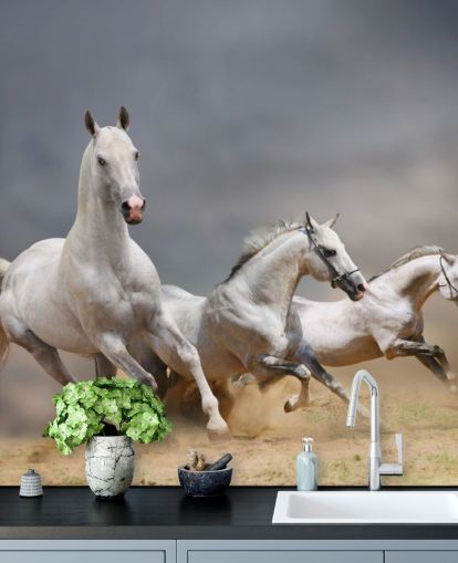 Whtie Horses Running Wallpaper Whtie Horses Running Wallpaper