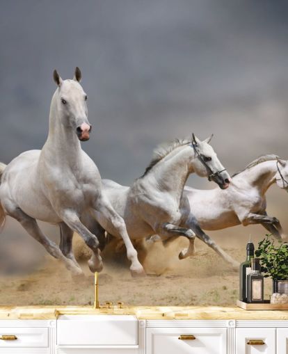 Whtie Horses Running Wallpaper