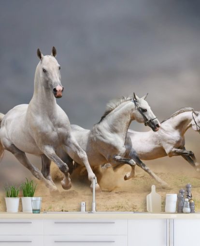 Whtie Horses Running Wallpaper
