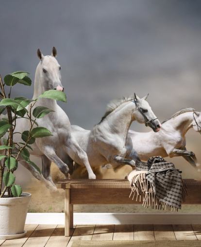 Whtie Horses Running Wallpaper