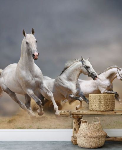 Whtie Horses Running Wallpaper