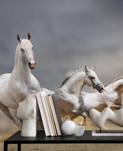 Fondo de pantalla de caballos blancos corriendo