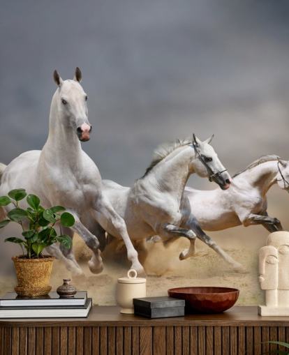 Whtie Horses Running Wallpaper Whtie Horses Running Wallpaper