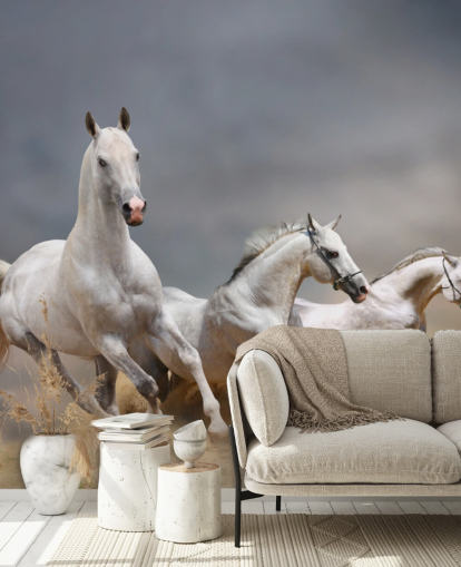 Whtie Horses Running Wallpaper Whtie Horses Running Wallpaper