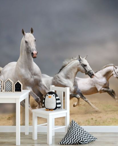 Whtie Horses Running Bakgrunn Whtie Horses Running Bakgrunn