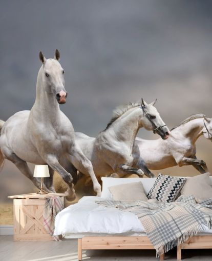 Whtie Horses Running Wallpaper