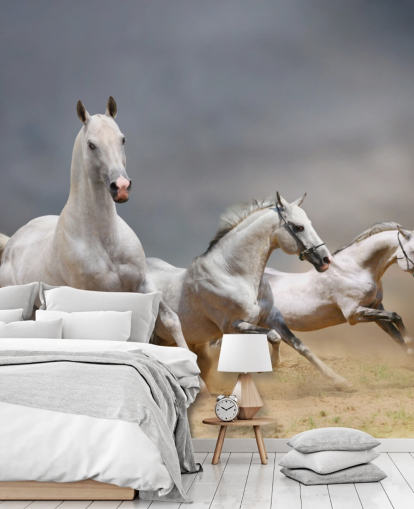 Whtie Horses Running Wallpaper