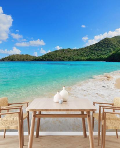 Beautiful Virgin Islands Beach Mural