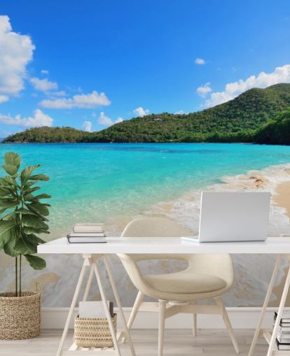 Beautiful Virgin Islands Beach Mural
