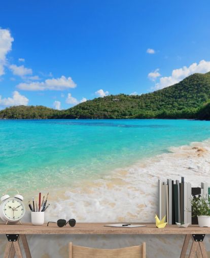 Beautiful Virgin Islands Beach Mural