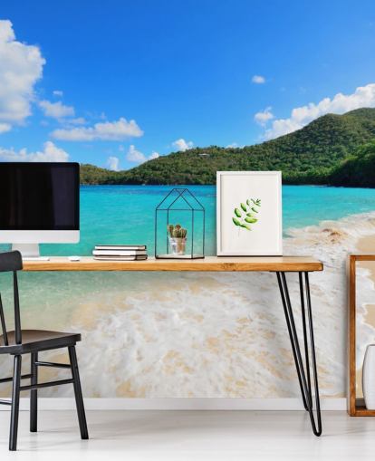 Beautiful Virgin Islands Beach Mural
