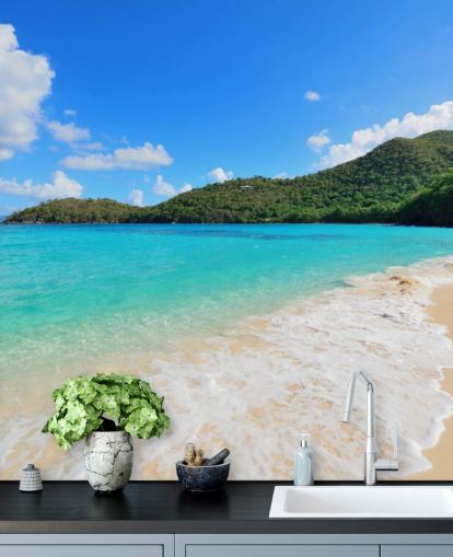 Beautiful Virgin Islands Beach Mural