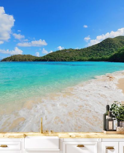 Beautiful Virgin Islands Beach Mural