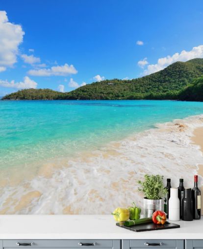 Beautiful Virgin Islands Beach Mural