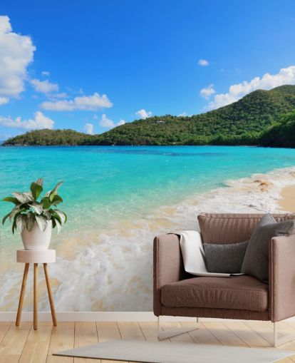 Beautiful Virgin Islands Beach Mural