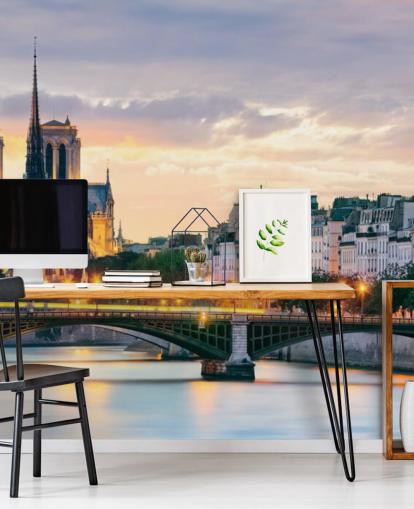 Notre Dame and River Wall Mural