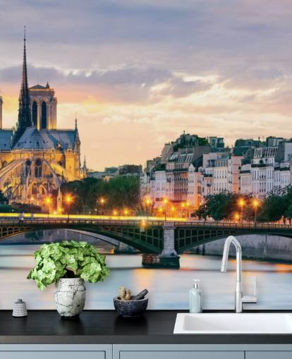 Notre Dame and River Wall Mural