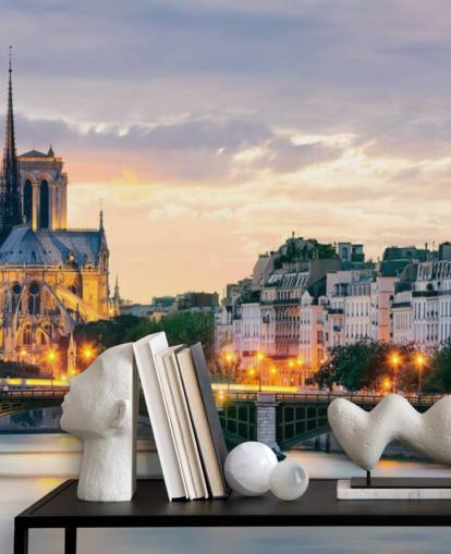 Notre Dame and River Wall Mural