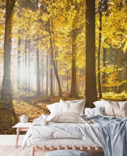 Helles Waldtapeten-Wandbild namens Bright Forest Sunlight für Schlafzimmer, Büros und Esszimmer