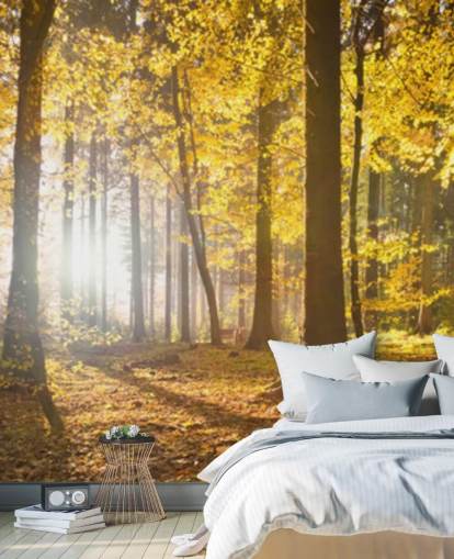 bright forest wallpaper mural called Bright Forest Sunlight for bedrooms, offices and dining rooms