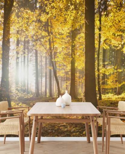 mural de papel pintado de bosque brillante llamado Bright Forest Sunlight para dormitorios, oficinas y comedores mural de papel pintado de bosque brillante llamado Bright Forest Sunlight para dormitorios, oficinas y comedores