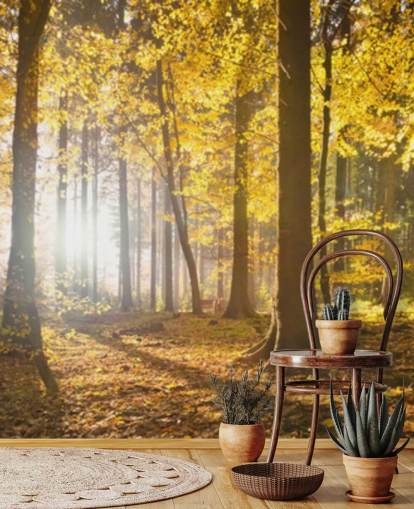 kirkas metsätaustakuvamaalaus nimeltä Bright Forest Sunlight makuuhuoneisiin, toimistoihin ja ruokasaleihin