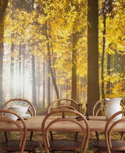papier peint mural Bright Forest Sunlight appelé Bright Forest Sunlight pour les chambres, les bureaux et les salles à manger