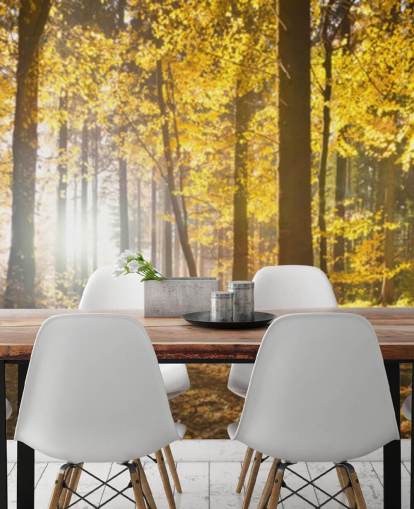 Helles Waldtapeten-Wandbild namens Bright Forest Sunlight für Schlafzimmer, Büros und Esszimmer