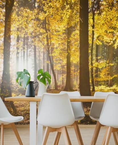 bright forest wallpaper mural called Bright Forest Sunlight for bedrooms, offices and dining rooms