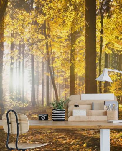 ljus skog tapetväggmålning kallad Bright Forest Sunlight för sovrum, kontor och matsalar ljus skog tapetväggmålning kallad Bright Forest Sunlight för sovrum, kontor och matsalar