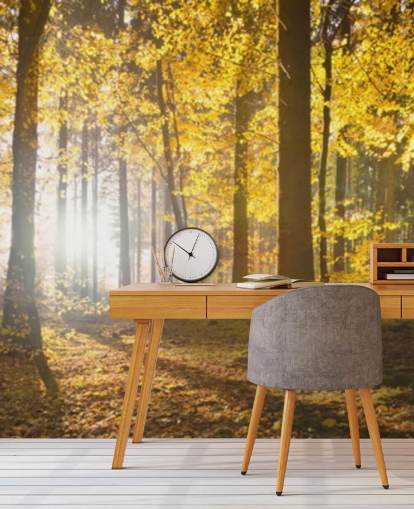 bright forest wallpaper mural called Bright Forest Sunlight for bedrooms, offices and dining rooms