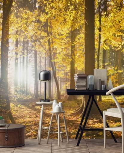 bright forest wallpaper mural called Bright Forest Sunlight for bedrooms, offices and dining rooms